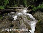 Naučná stezka Bílá Opava