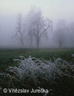 Hukvaldy 049