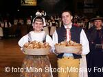 Jihočeské folklorní sdružení
