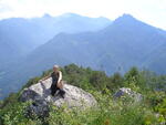 Dolomity